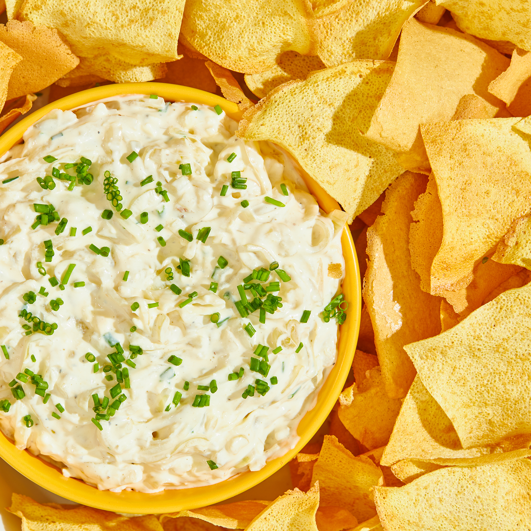 Caramelized Onion Dip