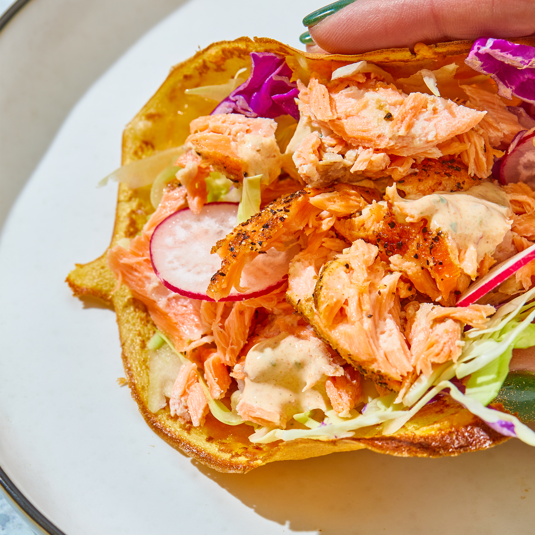 Salmon Tostada